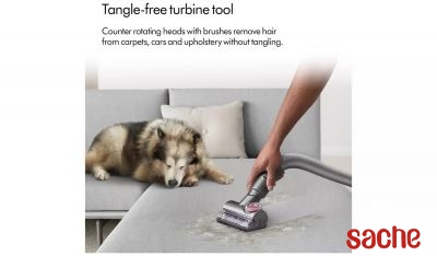 BALAI ASPIRATEUR DYSON BALL ANIMAL