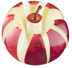Découpe pomme presto420660