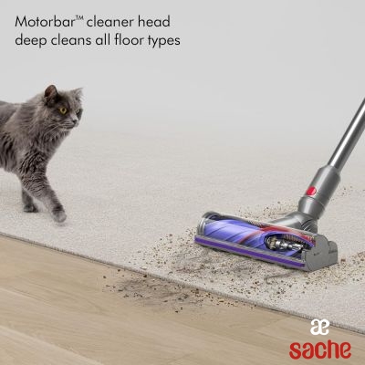 BALAI ASPIRATEUR DYSON V12 Detect slim