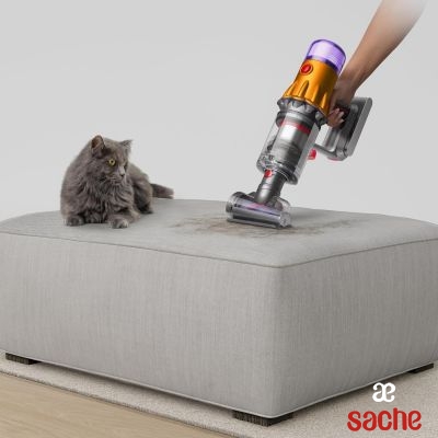 BALAI ASPIRATEUR DYSON V12 Detect slim