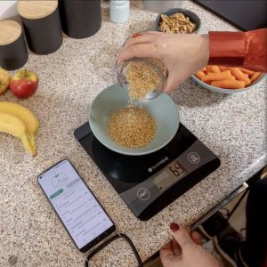 BALANCE DE CUISINE SILVER GEAR