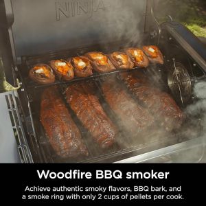 BARBECUE NINJA A GAZ FLEXFLAME