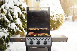 BARBECUE NAPOLEON