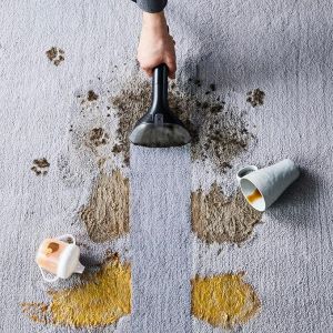 Rowenta Clean It Solution Solution nettoyante tissus et taches d’Animaux pour tissus et tapis - 1L XD5320F0