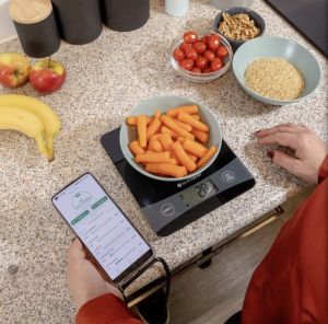 BALANCE DE CUISINE SILVER GEAR