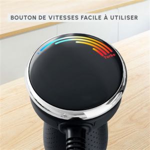 BRAS MIXEUR MOULINEX 1000W 