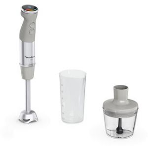 BRAS MIXEUR MOULINEX QUICK CHEF
