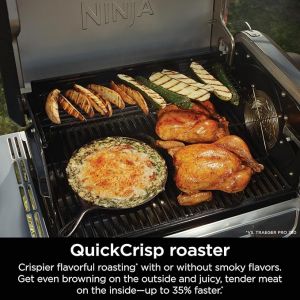 BARBECUE NINJA A GAZ FLEXFLAME