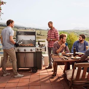 BARBECUE A GAZ WEBER GENESIS 2 NOIR 