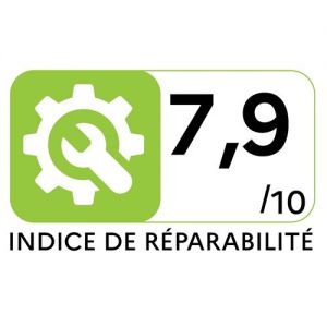 ASPIRATEUR A MAIN ROWENTA BLANC