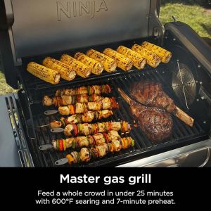BARBECUE NINJA A GAZ FLEXFLAME
